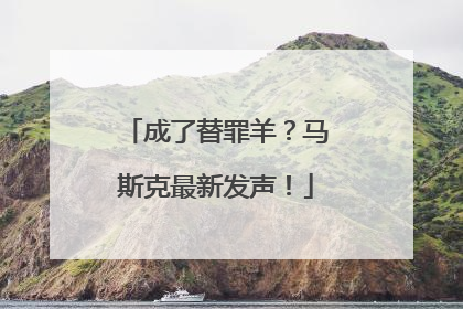 成了替罪羊？马斯克最新发声！