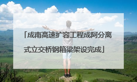 成南高速扩容工程成阿分离式立交桥钢箱梁架设完成