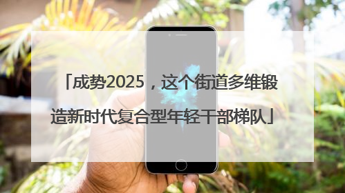 成势2025，这个街道多维锻造新时代复合型年轻干部梯队