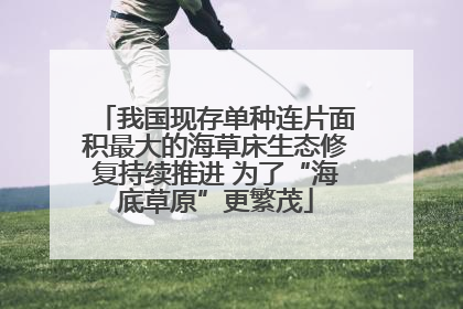 我国现存单种连片面积最大的海草床生态修复持续推进 为了“海底草原”更繁茂