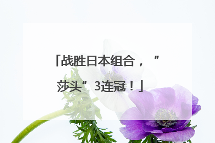 战胜日本组合，“莎头”3连冠！