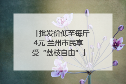 批发价低至每斤4元 兰州市民享受“荔枝自由”