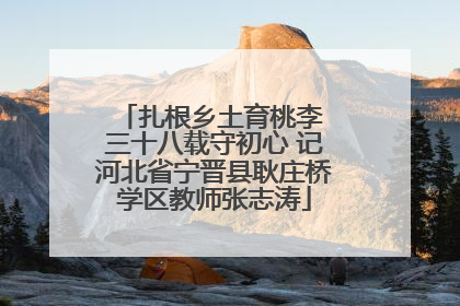 扎根乡土育桃李 三十八载守初心 记河北省宁晋县耿庄桥学区教师张志涛