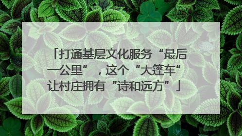打通基层文化服务“最后一公里”，这个“大篷车”让村庄拥有“诗和远方”