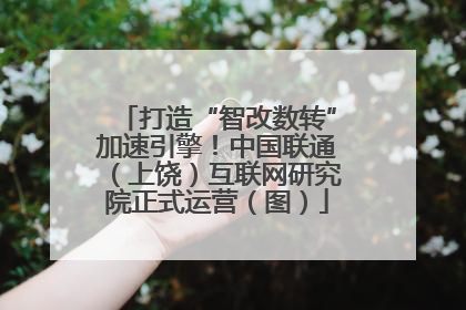 打造“智改数转”加速引擎！中国联通（上饶）互联网研究院正式运营（图）