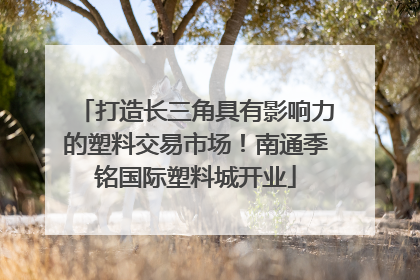打造长三角具有影响力的塑料交易市场！南通季铭国际塑料城开业