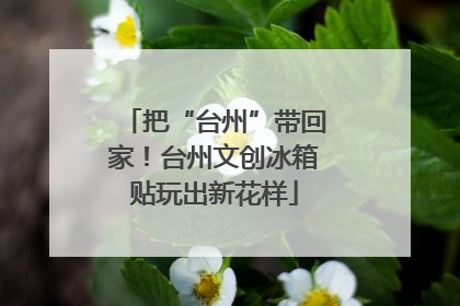 把“台州”带回家！台州文创冰箱贴玩出新花样