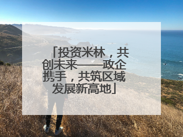投资米林，共创未来——政企携手，共筑区域发展新高地