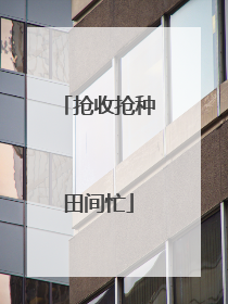 抢收抢种田间忙