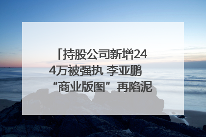持股公司新增244万被强执 李亚鹏“商业版图”再陷泥潭？｜科技观察