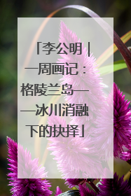 李公明｜一周画记：格陵兰岛——冰川消融下的抉择