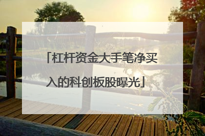 杠杆资金大手笔净买入的科创板股曝光