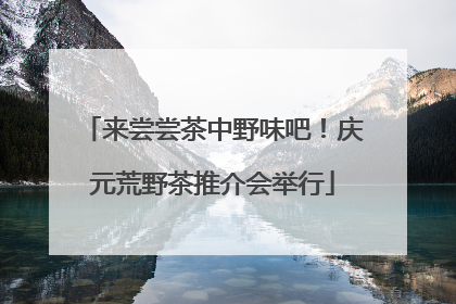 来尝尝茶中野味吧！庆元荒野茶推介会举行