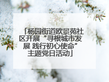 杨园街道欧景苑社区开展“寻根城市发展 践行初心使命”主题党日活动