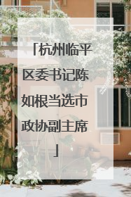 杭州临平区委书记陈如根当选市政协副主席