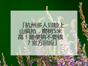 杭州多人冒险上山疯抢，爬树5米高！随便摘不要钱？官方回应