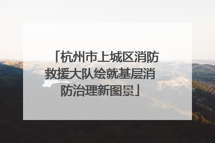 杭州市上城区消防救援大队绘就基层消防治理新图景