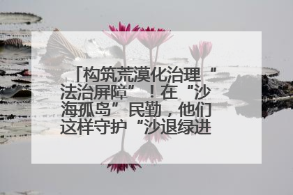 构筑荒漠化治理“法治屏障”！在“沙海孤岛”民勤，他们这样守护“沙退绿进”的生态奇迹