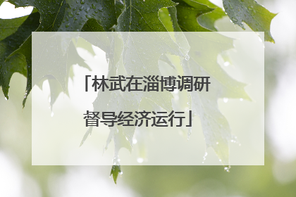 林武在淄博调研督导经济运行