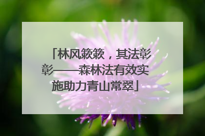 林风簌簌，其法彰彰——森林法有效实施助力青山常翠