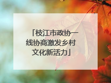 枝江市政协一线协商激发乡村文化新活力
