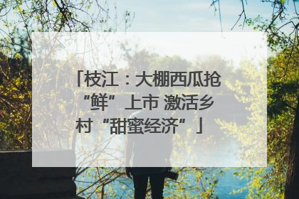 枝江：大棚西瓜抢“鲜”上市 激活乡村“甜蜜经济”