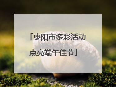 枣阳市多彩活动点亮端午佳节
