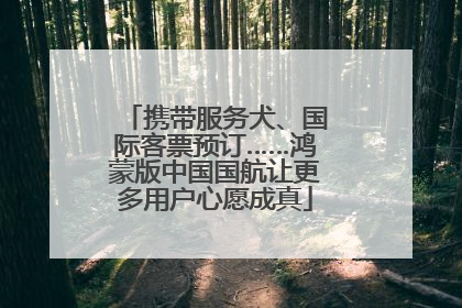 携带服务犬、国际客票预订……鸿蒙版中国国航让更多用户心愿成真