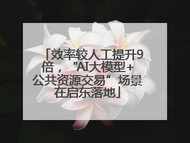 效率较人工提升9倍，“AI大模型+公共资源交易”场景在启东落地