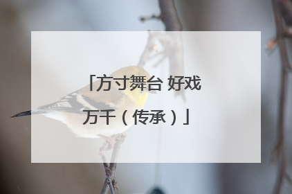 方寸舞台 好戏万千（传承）