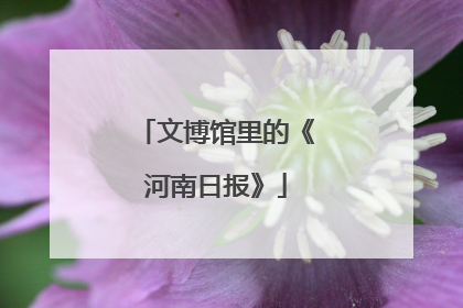 文博馆里的《河南日报》