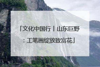 文化中国行丨山东巨野：工笔画绽放致富花