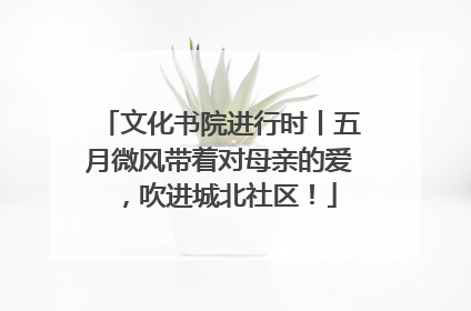 文化书院进行时丨五月微风带着对母亲的爱，吹进城北社区！