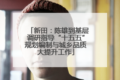 新田：陈雄到基层调研指导“十五五”规划编制与城乡品质大提升工作