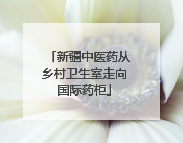 新疆中医药从乡村卫生室走向国际药柜