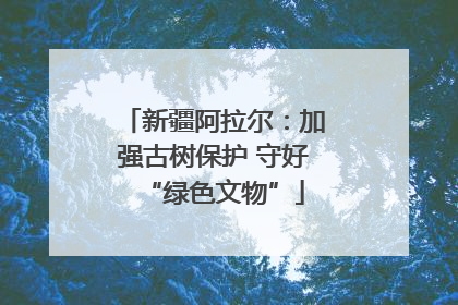 新疆阿拉尔：加强古树保护 守好“绿色文物”