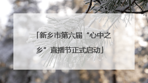 新乡市第六届“心中之乡”直播节正式启动
