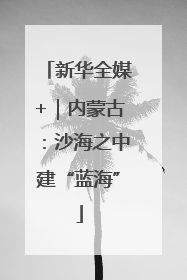 新华全媒+｜内蒙古：沙海之中建“蓝海”