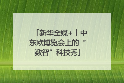 新华全媒+丨中东欧博览会上的“数智”科技秀