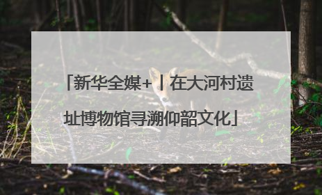 新华全媒+丨在大河村遗址博物馆寻溯仰韶文化