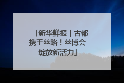 新华鲜报｜古都携手丝路！丝博会绽放新活力