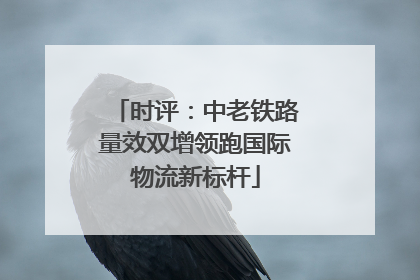 时评：中老铁路量效双增领跑国际物流新标杆