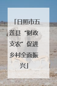 日照市五莲县“财政支农”促进乡村全面振兴