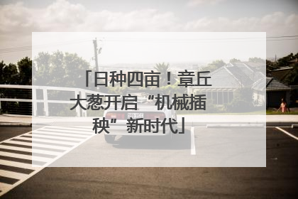 日种四亩！章丘大葱开启“机械插秧”新时代