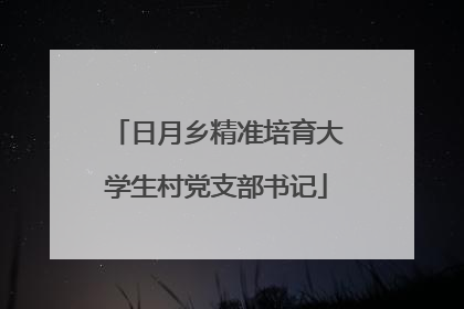日月乡精准培育大学生村党支部书记