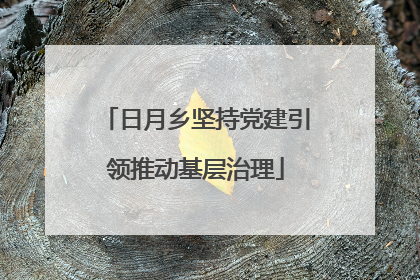 日月乡坚持党建引领推动基层治理