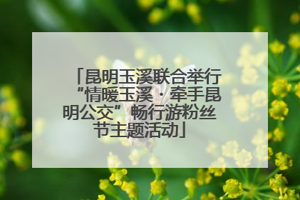 昆明玉溪联合举行“情暖玉溪・牵手昆明公交”畅行游粉丝节主题活动