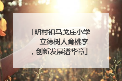 明村镇马戈庄小学——立德树人育桃李，创新发展谱华章