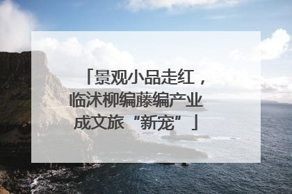 景观小品走红，临沭柳编藤编产业成文旅“新宠”