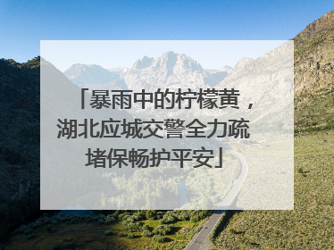 暴雨中的柠檬黄，湖北应城交警全力疏堵保畅护平安